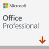 Microsoft Office 2019 Professional