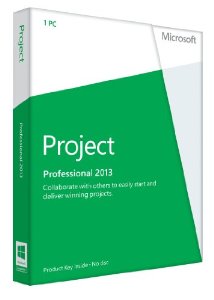 Microsoft Project 2013 Professional