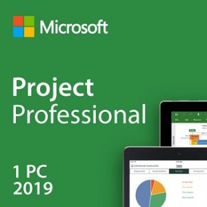 Microsoft Project 2019 Professional