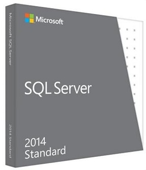 Microsoft SQL Server Standard 2014