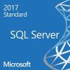 Microsoft SQL Server 2017 Standard with 10 CALS